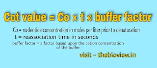Cot value equation 