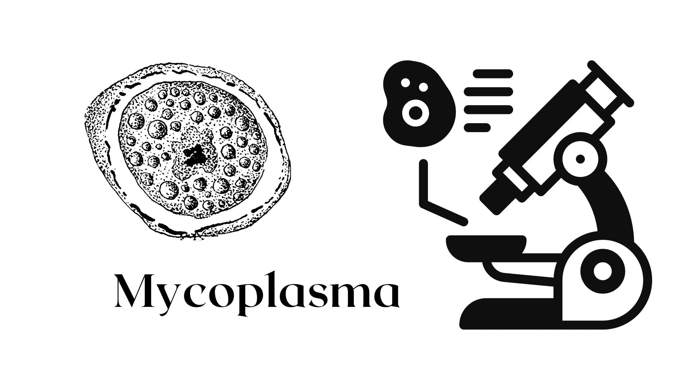 Mycoplasma notes class 11