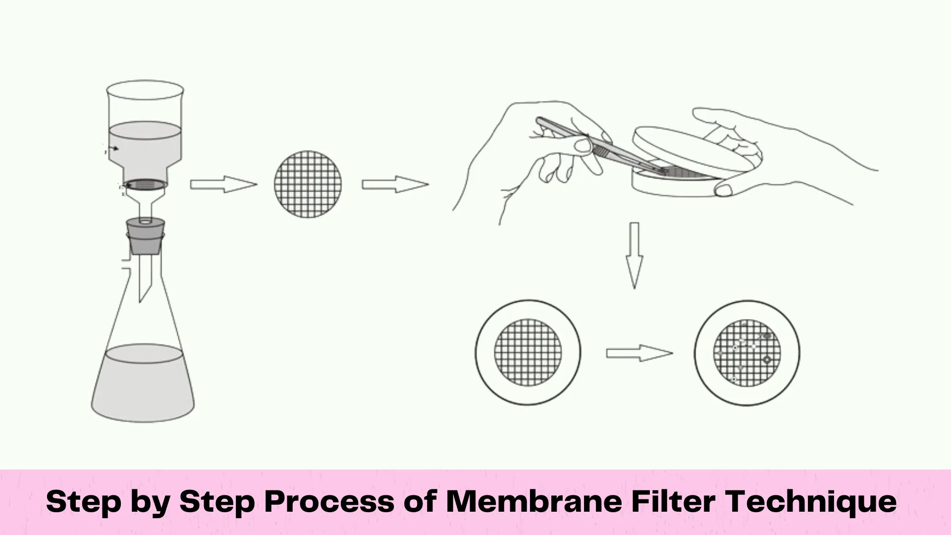 Step by step of membrane filter technique 